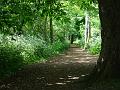 2009-0506-Morden_Park_1330-20C